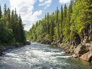 Окрестности устья реки Дурная
