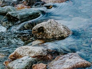 Устье реки Торговая