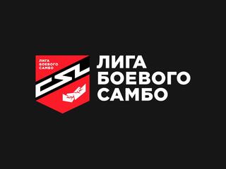 Самбо. Международные соревнования "Лига боевого самбо". Трансляция из Читы