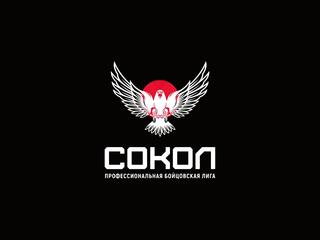 Смешанные единоборства. Бойцовская лига "Сокол". Виктор Немков против Джуниора Альбини. Давид Бархударян против Михаила Рагозина. Трансляция из Красно