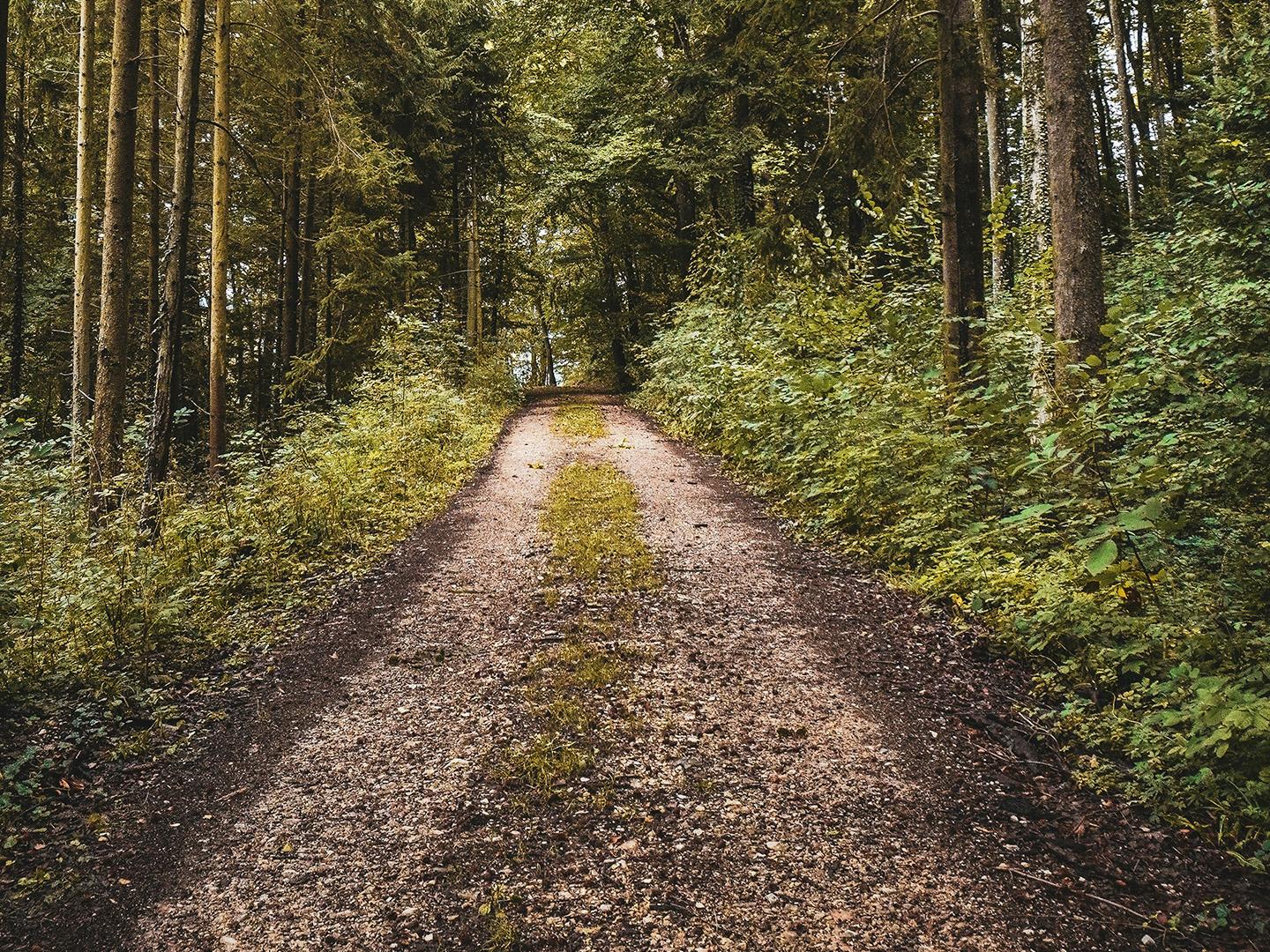 Устюртский заповедник, Западный Казахстан