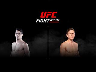 Смешанные единоборства. UFC Fight Night. Джафэл Фильо против Клэйтона Карпентера. Трансляция из Бразилии