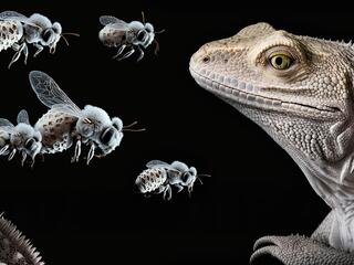 Странные системы защиты животных