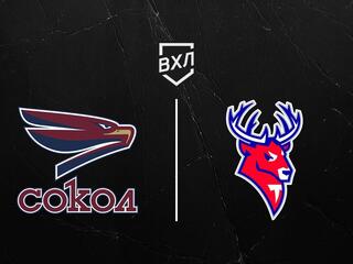 Хоккей. ВХЛ. Сокол (Красноярск) - Торпедо-Горький (Нижний Новгород)