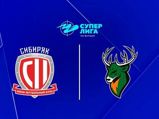 Футзал. БЕТСИТИ Суперлига. Сибиряк - Торпедо. 8 тур. Матч 2