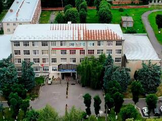 Дорогой милосердия