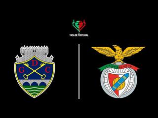 Футбол. Кубок Португалии. Чавес - Бенфика