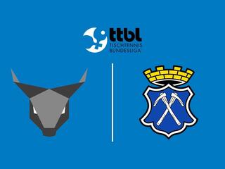 Настольный теннис Мужчины. Бундеслига. Регулярный сезон 2025/26. 6 тур. Оксенхаузен - Бад Хомбург