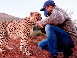 Во имя спасения дикой природы