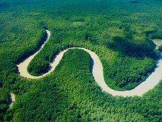 Сады чистой воды