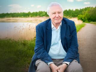 Дэвид Аттенборо : жизнь на Земле