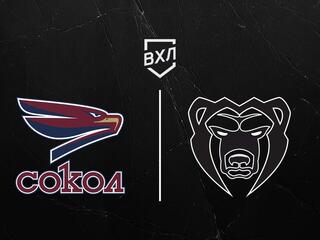 Хоккей. ВХЛ. Сокол - Молот