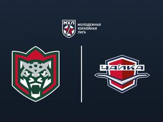 Хоккей. МХЛ. Ирбис - Чайка