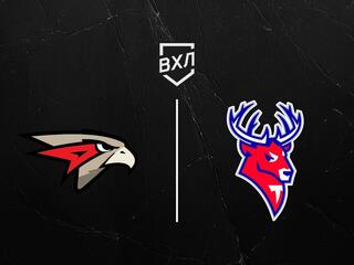 Хоккей. ВХЛ. Омские Крылья - Торпедо-Горький