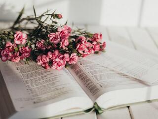 Рейс в Токио