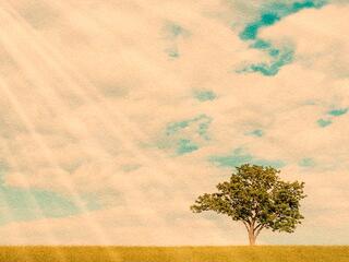 Эдем на Земле