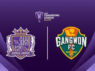 Футбол. АФК Лига Чемпионов Элита. Хиросима (Япония) - Канвон (Южная Корея)