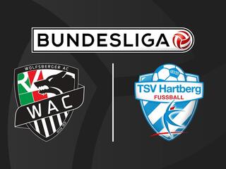 Футбол. Австрийская Бундеслига. Вольфсбергер - Хартберг