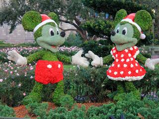 Араас остуоруйалар