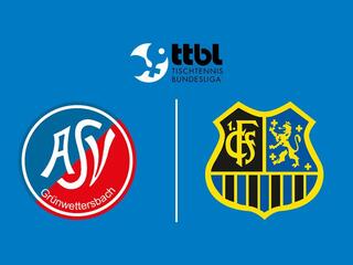 Настольный теннис Мужчины. Бундеслига. Регулярный сезон 2025/26. 7 тур. Грюнветтерсбах - Саарбрюккен