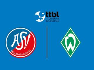 Настольный теннис Мужчины. Бундеслига. Регулярный сезон 2025/26. 8 тур. Грюнветтерсбах - Вердер Бремен