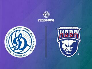 Волейбол. Суперлига. Динамо-ЛО - Нова. Мужчины