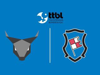 Настольный теннис Мужчины. Бундеслига. Регулярный сезон 2025/26. 9 тур. Оксенхаузен - Бад Кёнигсхофен