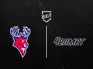 Хоккей. ВХЛ. Торпедо-Горький - Челмет