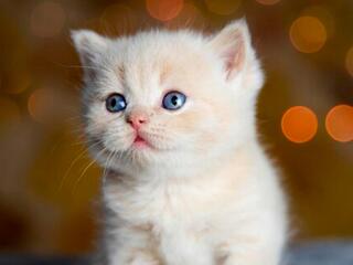 Подрастают малыши