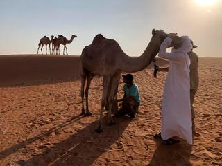 Магия ветра и песка