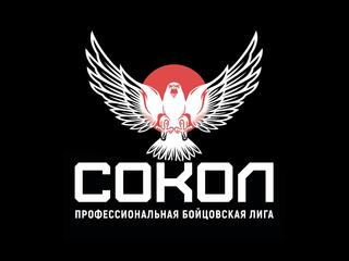 Смешанные единоборства. Профессиональная бойцовская лига "Сокол". Виктор Немков против Хадиса Ибрагимова. Диего Марлон против Евгения Игнатьева