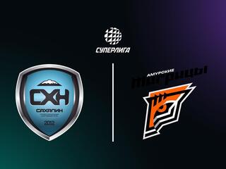 Высшая лига "А". Чемпионат России 2026. Женщины. 4-й тур. Сахалин (Южно-Сахалинск) - Амурские Тигрицы (Хабаровский край). Трансляция из Хабаровска