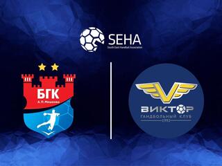 Гандбол. SEHA Газпром Лига. Мешков Брест - Виктор Ставрополье
