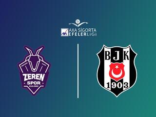 Волейбол. Чемпионат Турции. Женщины. Зерен - Бешикташ