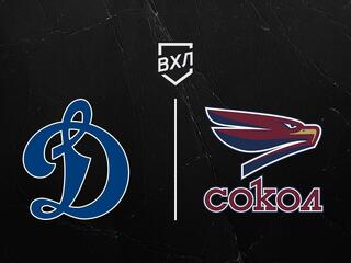 Хоккей. ВХЛ. Динамо СПб - Сокол Кр