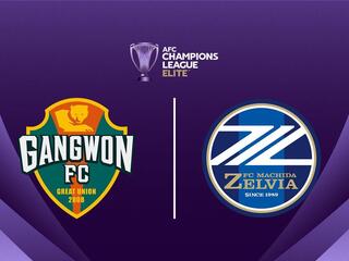 Футбол. АФК Лига Чемпионов Элита. Канвон (Южная Корея) - Мачида Зельвия(Япония)