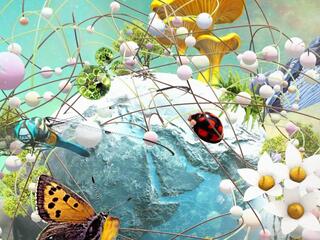 Скрытые чудеса природы