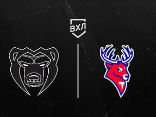 Хоккей. ВХЛ. Молот - Торпедо-Горький