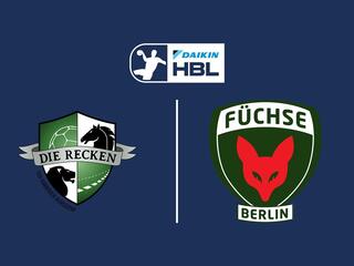 Гандбол. Немецкая бундеслига. Бургдорф - Фюхсе