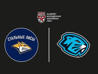 OLIMPBET Чемпионат МХЛ. "Стальные Лисы" - "Динамо-Шинник"