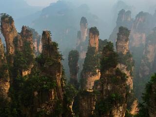 Аватар: где начиналась история