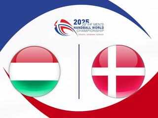 Гандбол. Чемпионат мира 2025. Женщины. Венгрия - Дания