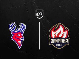 Хоккей. ВХЛ. Торпедо-Горький - Олимпия