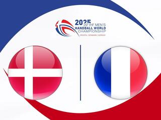 Гандбол. Чемпионат мира 2025. Женщины.Четвертьфинал 4. Дания - Франция