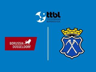 Настольный теннис Мужчины. Бундеслига. Регулярный сезон 2025/26. 10 тур. Боруссия Дортмунд - Бад Хомбург