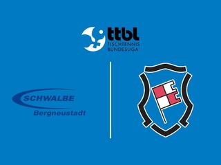 Настольный теннис Мужчины. Бундеслига. Регулярный сезон 2025/26. 10 тур. Швальбе Бергнойштадт - Бад Кёнигсхофен