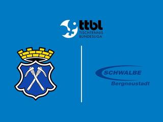 Настольный теннис Мужчины. Бундеслига. Регулярный сезон 2025/26. 11 тур. Бад Хомбург - Швальбе Бергнойштадт