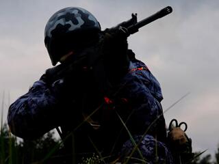 Стражники приграничья