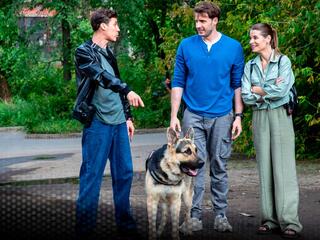 Мухтар. Он вернулся