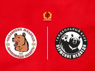 Гандбол. Чемпионат России. Суперлига. Мужчины. "Чеховские медведи" (Московская область) - "Пермские медведи" (Пермь)